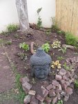 jardin4.JPG