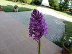 P1000262.JPG