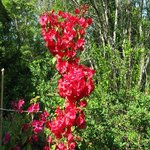 IMG_0824x.jpg