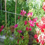 IMG_0825k.jpg