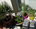 P1030717.JPG