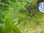 260512f.JPG