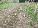 Photo 007.jpg