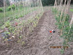 Photo 008.jpg
