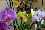1-DSC03839.JPG