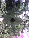 05-04-08_1403.jpg