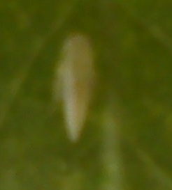 DSC00111.jpg