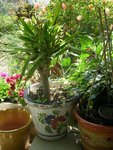 DSCN5081.JPG
