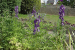 20120530_a.jpg