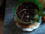 2012-05-30 20.24.12.jpg