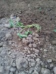20120530_213552.jpg