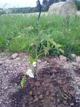 20120530_213632.jpg