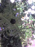 05-04-08_1402.jpg