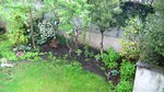 Vue d'ensemble.<br />De chaque côté du petit érable, j'ai ajouté :<br />- à gauche, 3 astrances (astrantia major)<br />- à droite, 4 saxifrages mousse 'Peter pan'