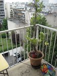 IMG_5992.JPG