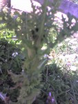 05-04-08_1405.jpg