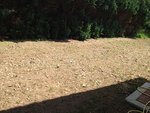 IMG_0333.jpg