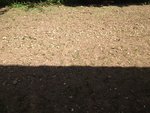 IMG_0334.jpg