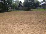 IMG_0338.jpg