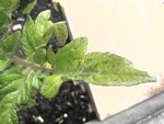 2012-06-03 16.34.06.jpg