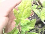 2012-06-03 16.39.31.jpg