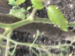 2012-06-03 16.41.41.jpg