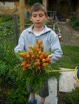 grelots 0612.JPG