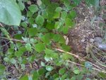 photo-9.jpg
