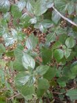 photo-7.jpg