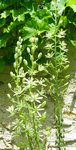 Sékoidon 06-06-12.jpg
