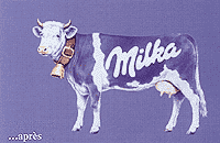 vache_apres.gif