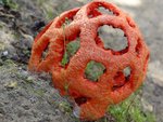 DSC00125.JPG