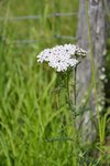 DSC_0056_02.JPG