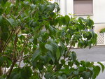 P1000615.JPG