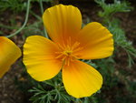 DSC02515.JPG