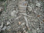 DSCF0278.jpg