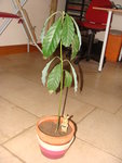 DSC00752.JPG