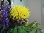 DSCF0933.jpg