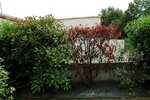 DSC_6344-001.JPG