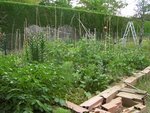 une vue du potager