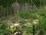 Une belle vue du potager principal