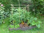 potager 2