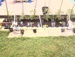 2012-06-13 08.22.21.jpg