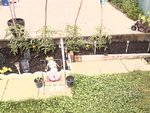 2012-06-13 08.22.28.jpg