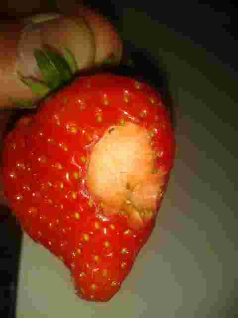 Ma fraise mangée
