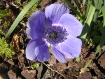 DSCN0279.JPG