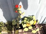 2012-06-14 19.09.13.jpg