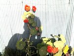 2012-06-14 19.09.52.jpg