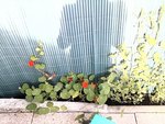 2012-06-14 19.10.39.jpg