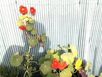 2012-06-14 19.09.59.jpg